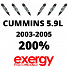 CMB Early Exergy New 200% Over Injector Set of 6